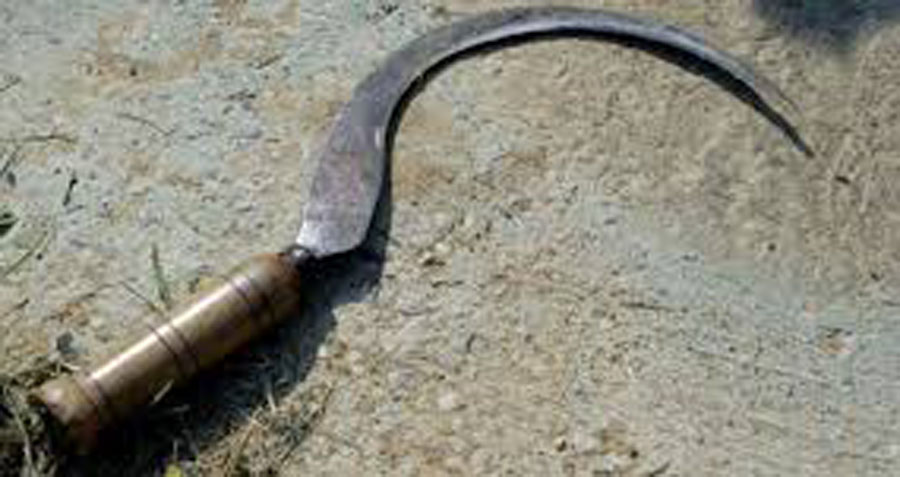 डोटीमा ढुङ्गा, हँसिया र बञ्चरो हानेर सौताको हत्या गर्ने महिला पक्राउ