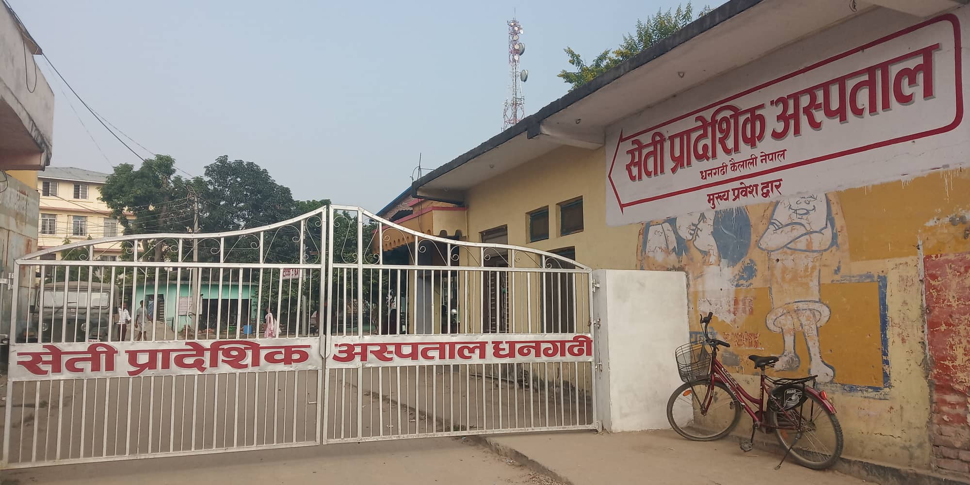 कैलालीमा बिरालाले टोकेर एक महिलाको मृत्यु, दोस्रो रेबिज सुई लगाएकी थिइन्